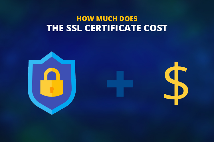 How Much SSL Certificate